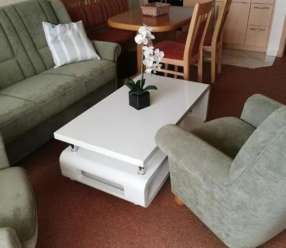 Ferienwohnung Harz Hohegeiß App 569