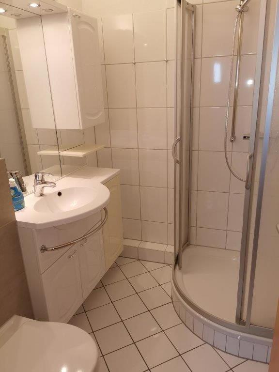 Harz Hohegeiß App 569 *